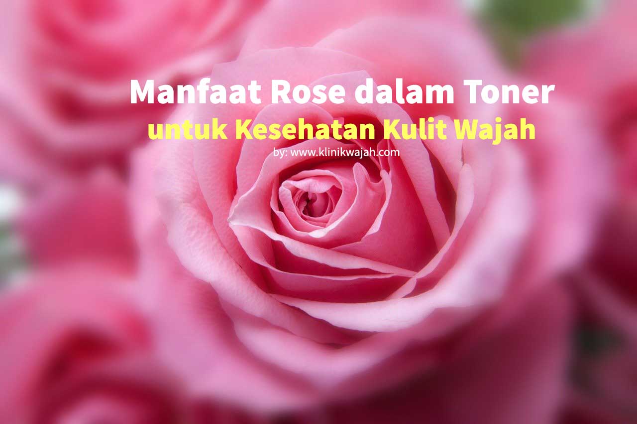 9 Manfaat Rose Toner untuk Kesehatan Kulit Wajah